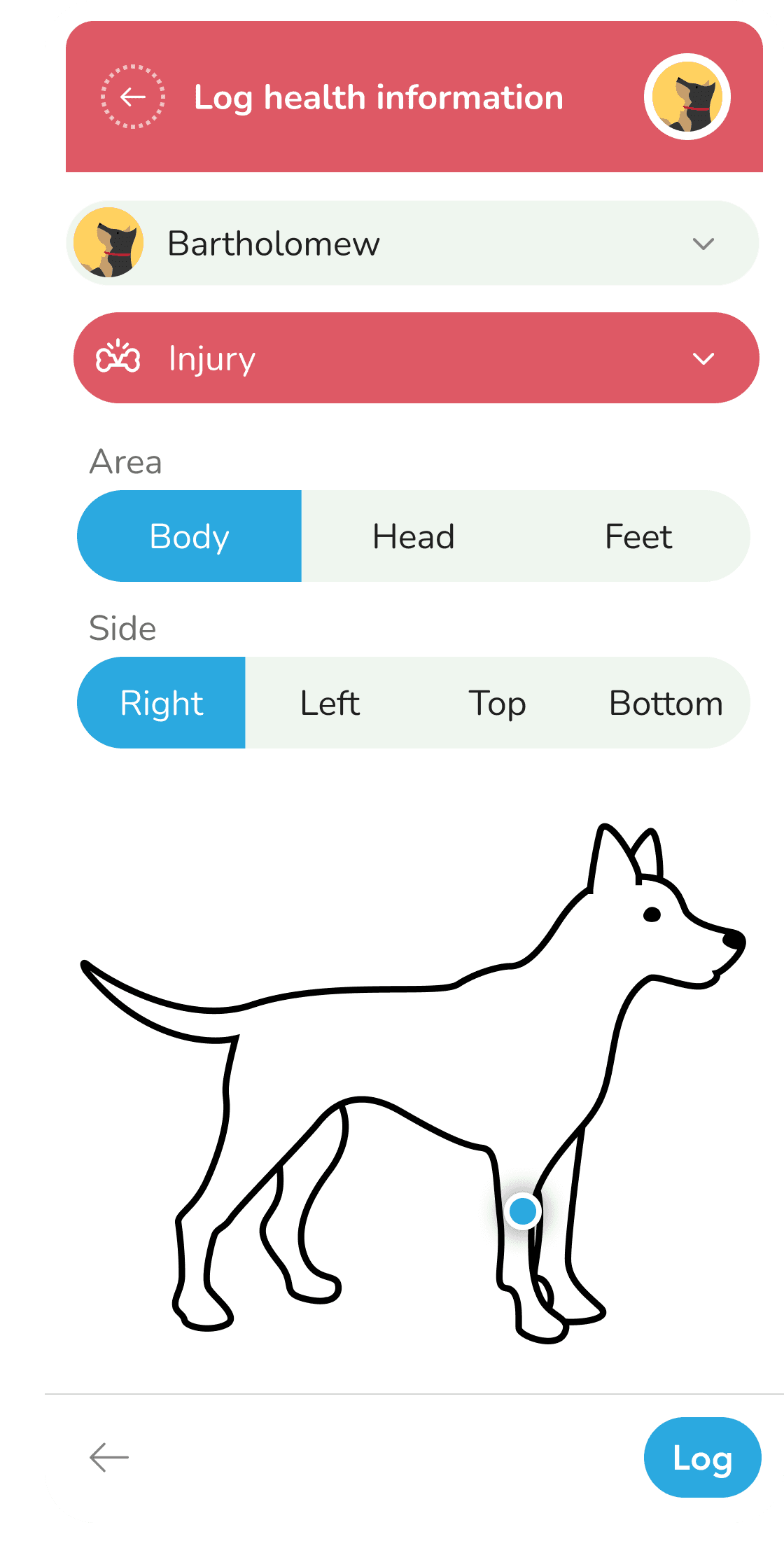 Body map injury and symptom screen